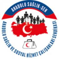 Anadolu Sağlık Sen