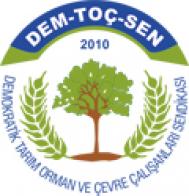 Dem toç sen